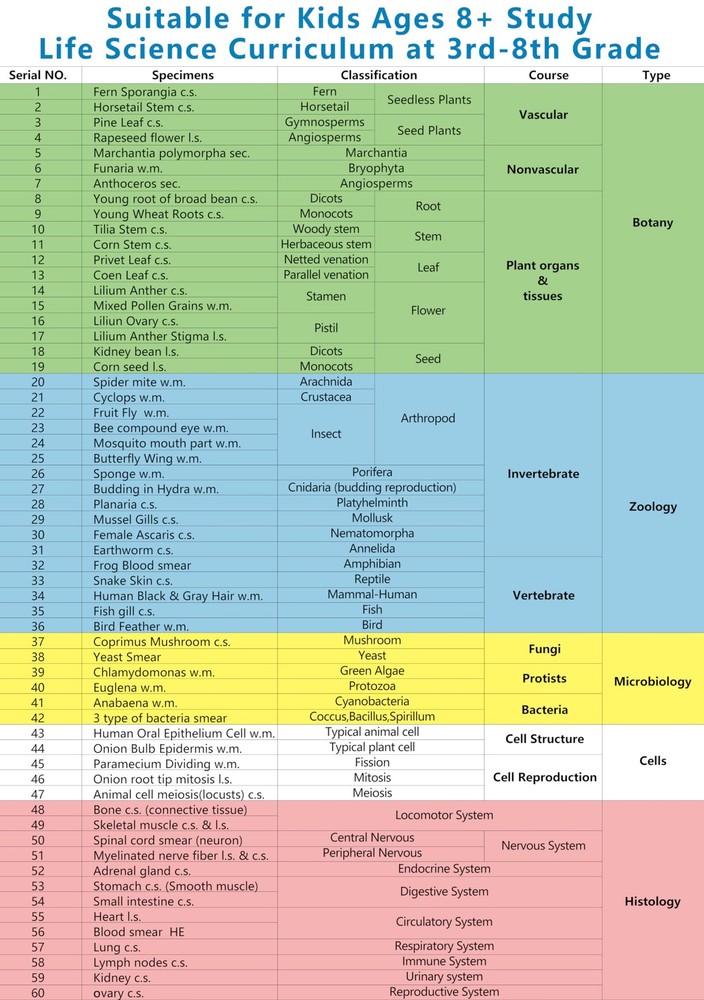 Microscope Slides with Specimens for , 60 Lab-Prepared Microscope Slides, Ani...
