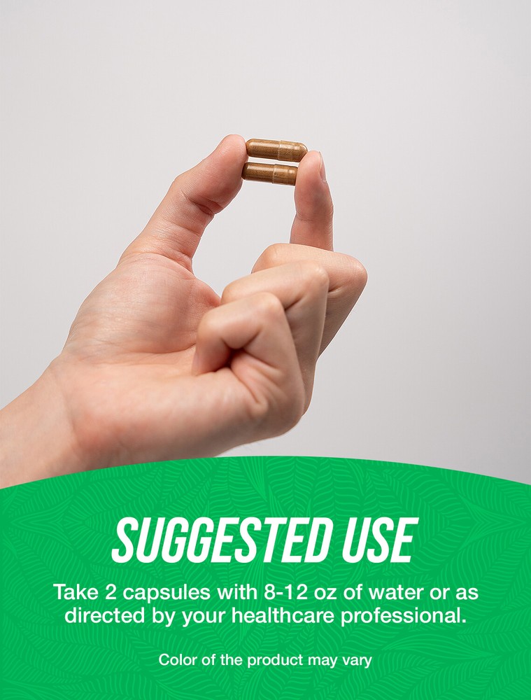 BulkSupplements Grapefruit Seed Extract 360 Capsules - 500mg Per Serving