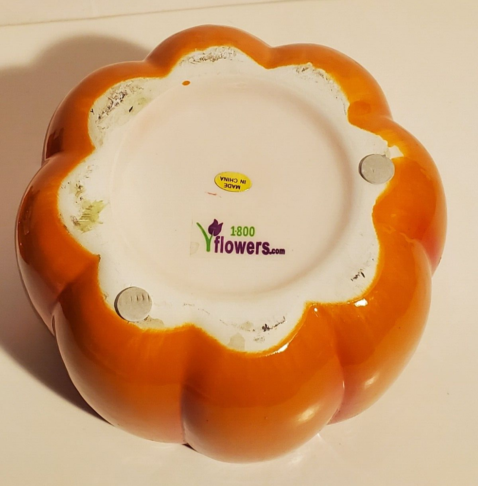 CERAMIC THANKSGIVING FALL HOLIDAY LIDDED PUMPKIN DISH SQUIRREL FLOWER BOWL