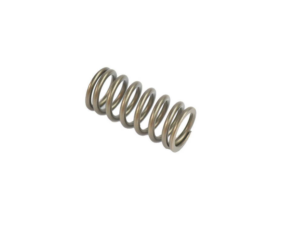 Engine Valve Spring Mopar 68228164AA