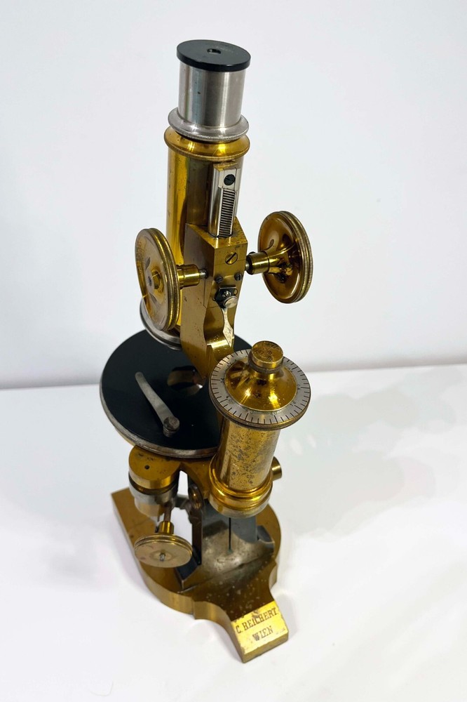 Reichert Antique Microscope With Wooden Case