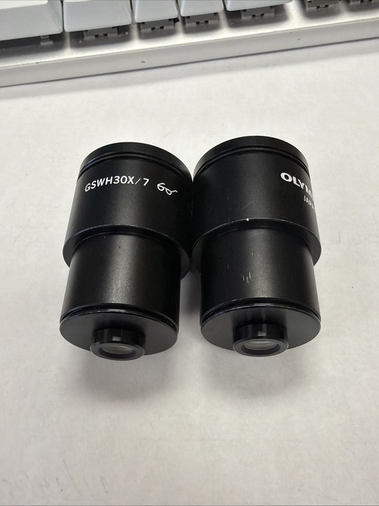 Olympus Microscope Eyepieces Pair (2) GSWH30X/7