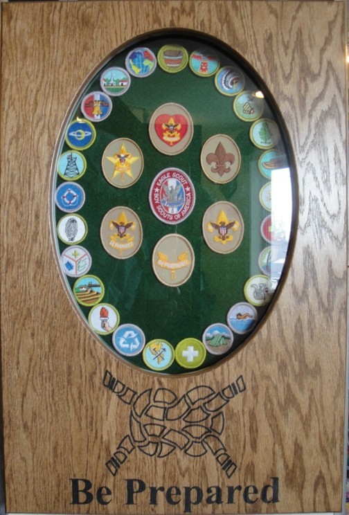 BOY SCOUTS MERIT BADGE DISPLAY CASE SHADOW BOX