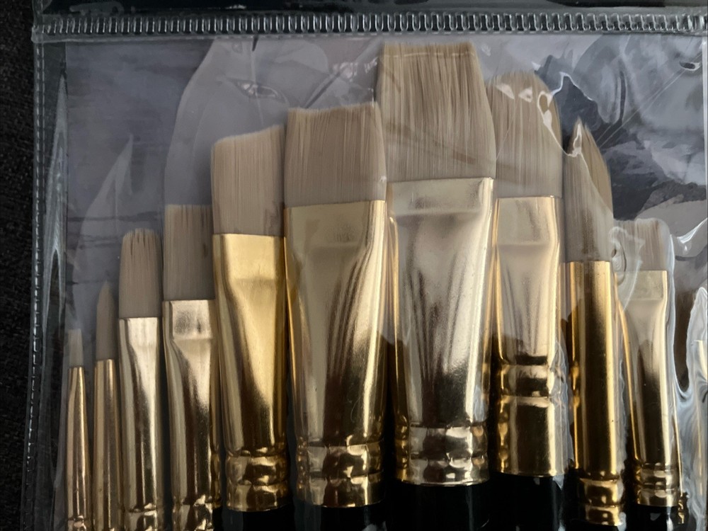 Wonder & Weiss | Bone Bristles Black Handle Paint Brushes 12 Piece Value Pack BN