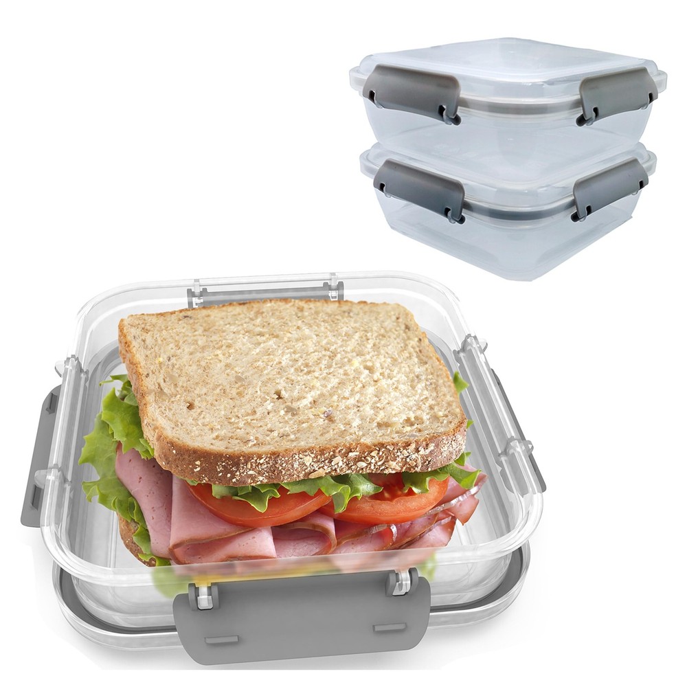 Biosmart Sandwich Container: 2 Pack Reusable, BPA Free Plastic 2 Pack, Gray