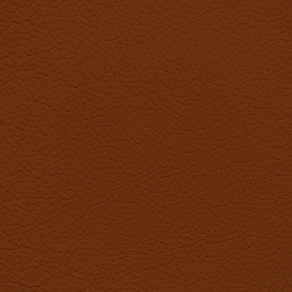 Audi Mustang Brown Leather Dye