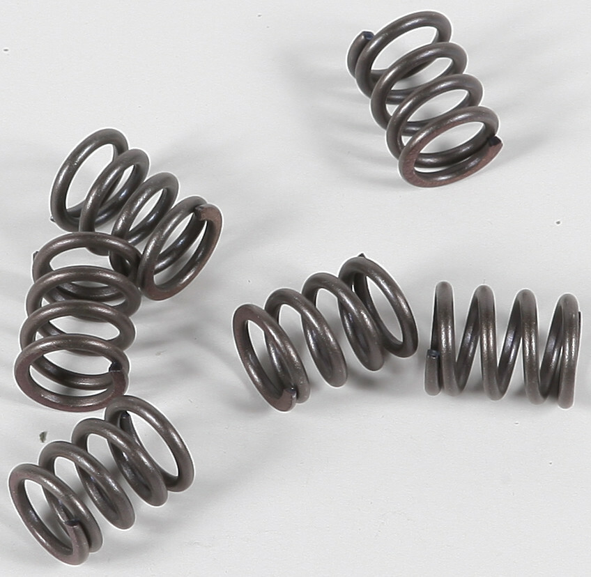 EBC CSK Clutch Spring Kit CSK21