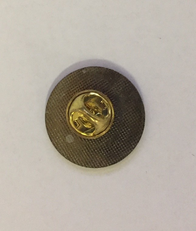 Our World Junior Achievement Pin