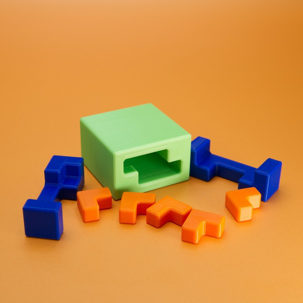 ConceaL5 - Rex Rossano Perez - 3d Packing Puzzle