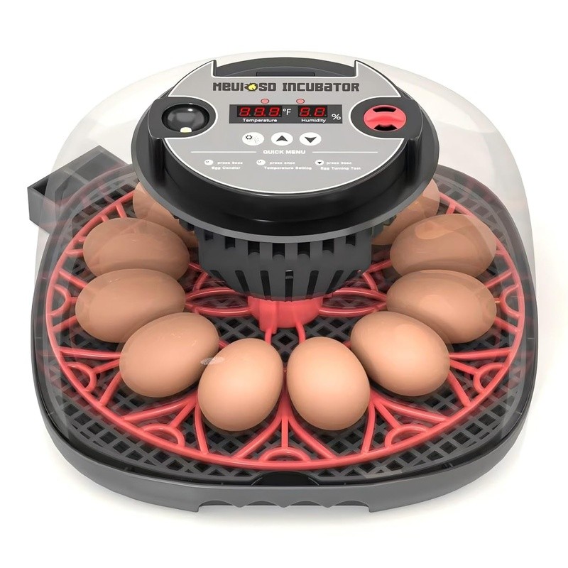 12-24 Egg Incubator with Humidity Display Egg Candler Automatic Egg Turner