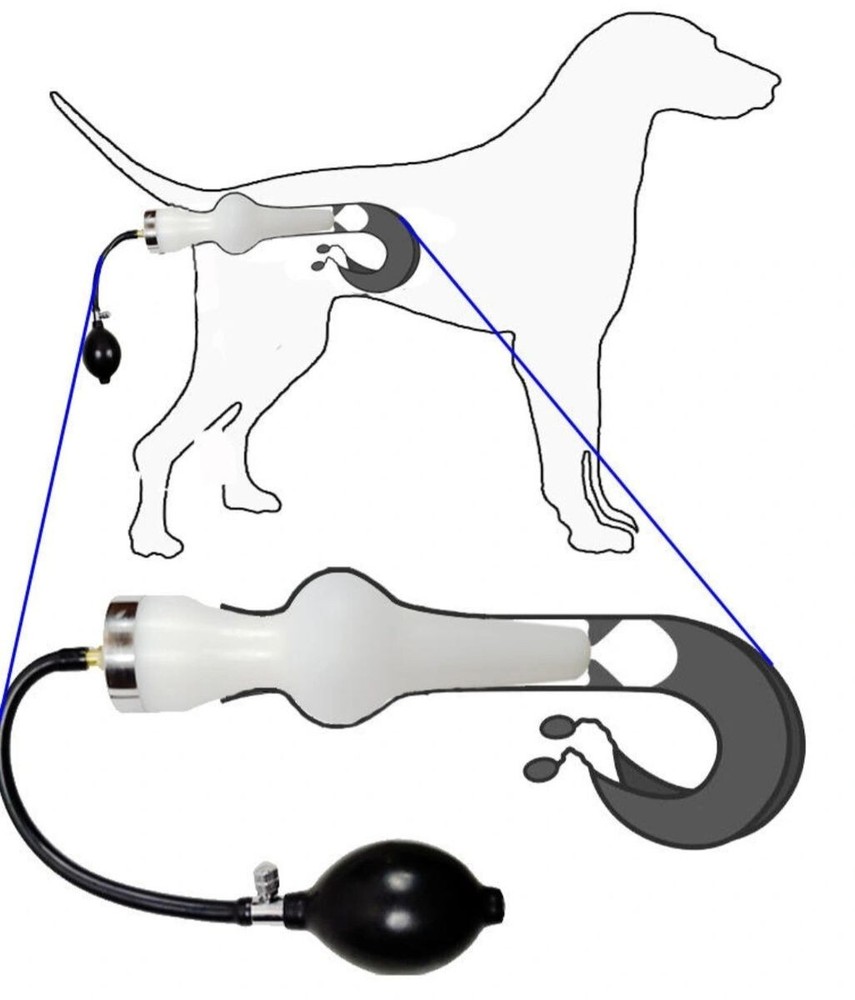 Canine Inflatable Artificial Insemination Kit (29-55lbs Dogs)
