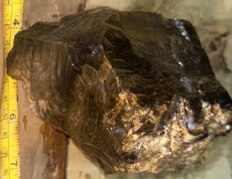 Silver Creek Junction petrified wood