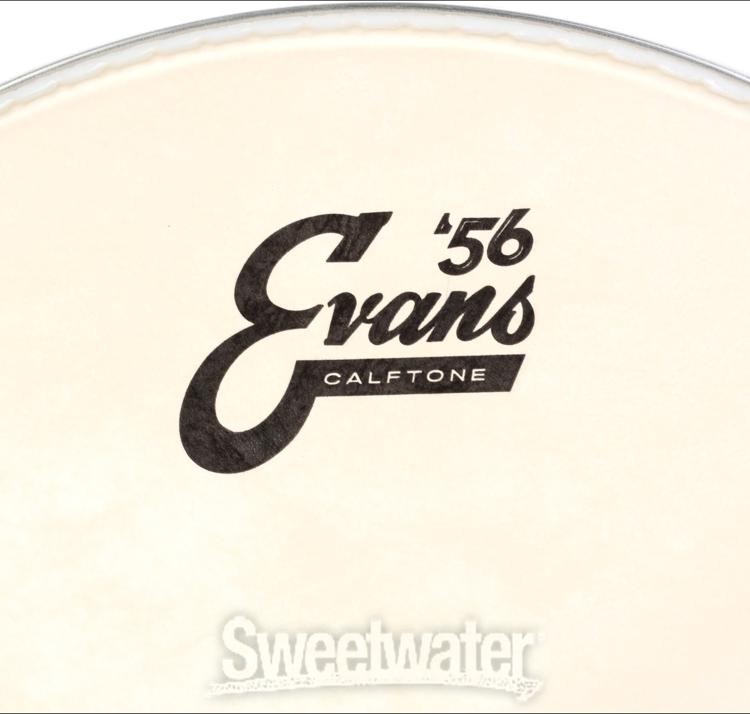 Evans Calftone Drumhead - 12"