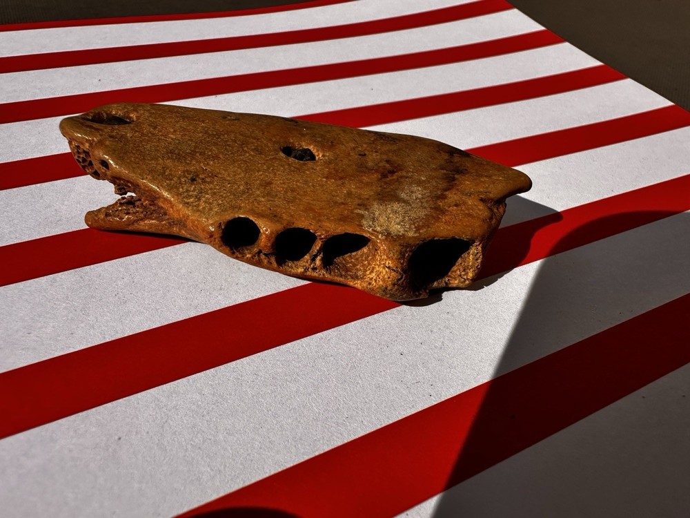 Artifacts: Native American Fishing Tools