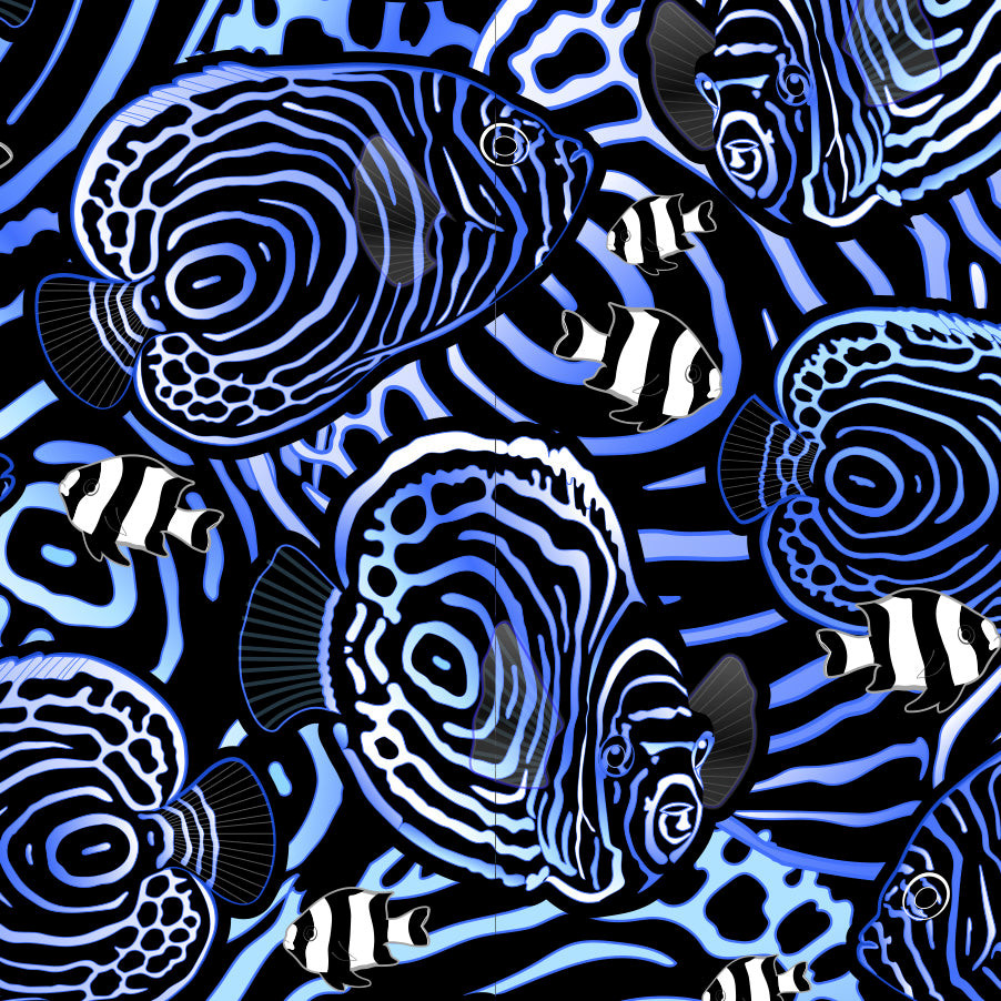 Spacefish Army Scuba Headband - Angelfish Hypnosis