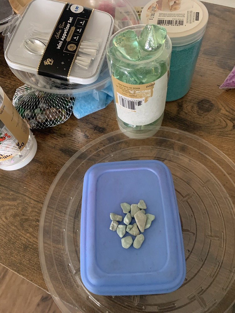 Terraium Supplies