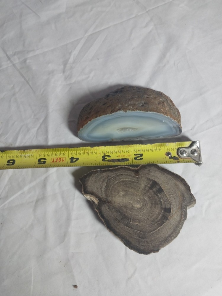 Petrified Wood, Half Geode Polished
