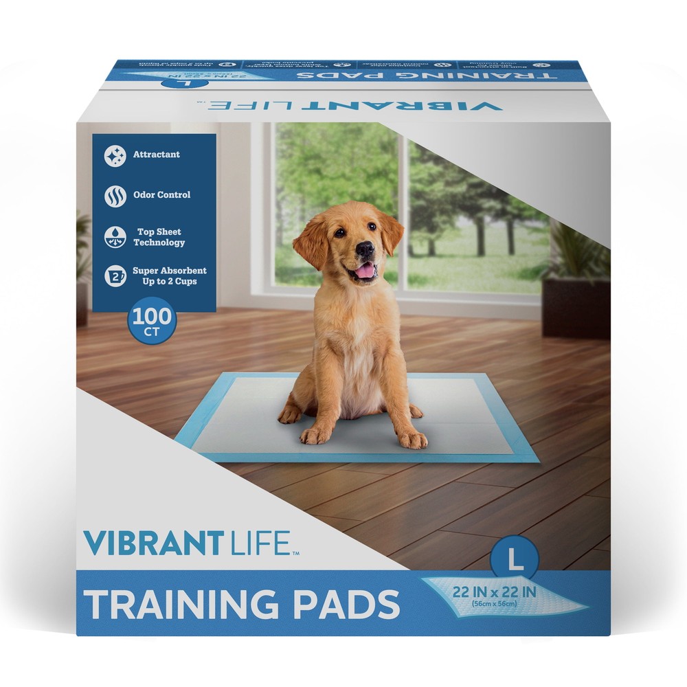 Training Pads, Large, 22 in x 22 in, 100 Count