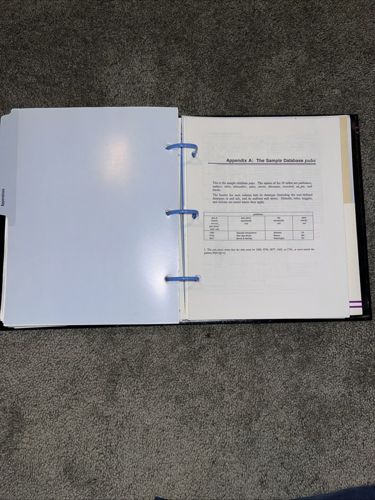 Sybase Transact-SQL User’s Guide, Vintage 1992. Before merging into SAP.