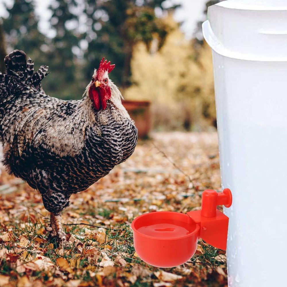 12Pcs Automatic Water Cups Poultry Drinker Waterer Chicken Duck Quail Drinking