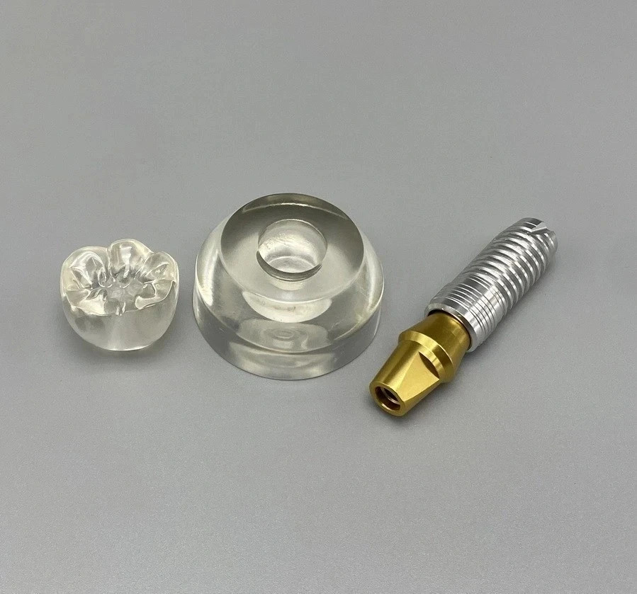 M2020 Dental Implant Model Teeth Study Teach Model Removable Clear Demonstration