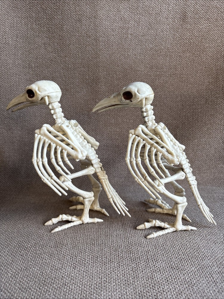 Two Halloween Crow Skeleton Tabletop Bird Bones Decoration
