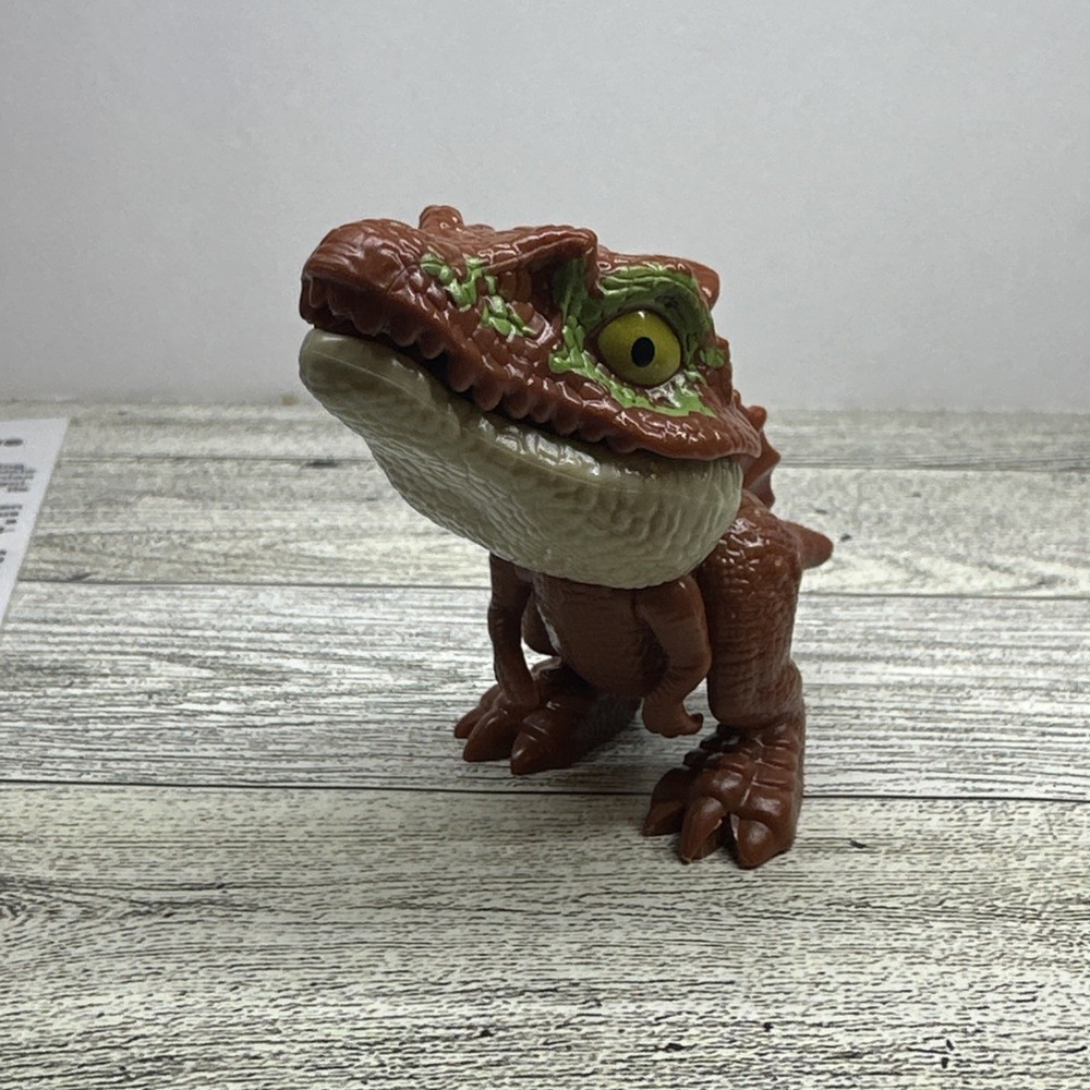 Spinosaurus Extinct Dinosaur Bone Fossil in Case with Toy