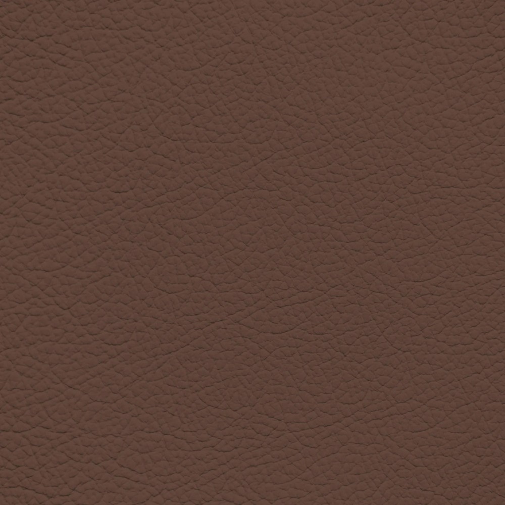 Ford/Lincoln/Mercury Terra Cotta Leather Dye