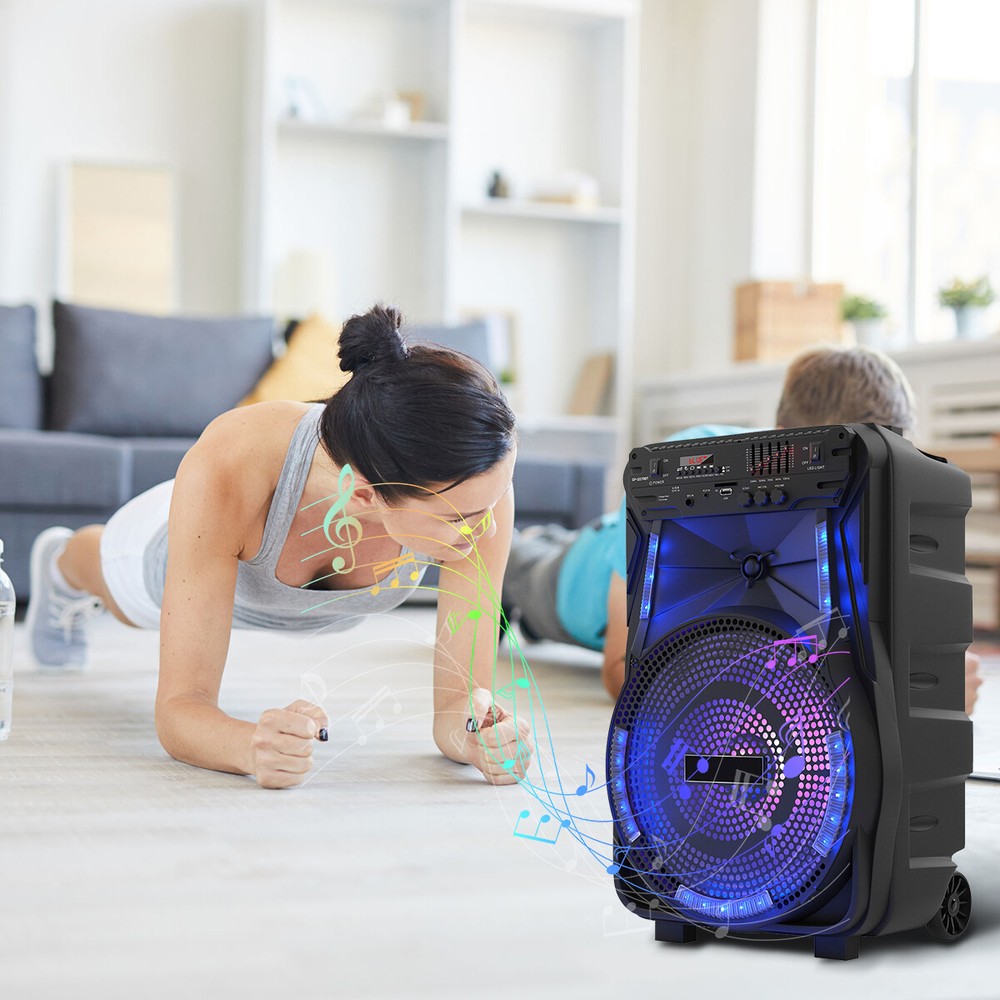 12" Portable Bluetooth Speaker 5-Band Equalizer DJ Party Speaker System W/Mic