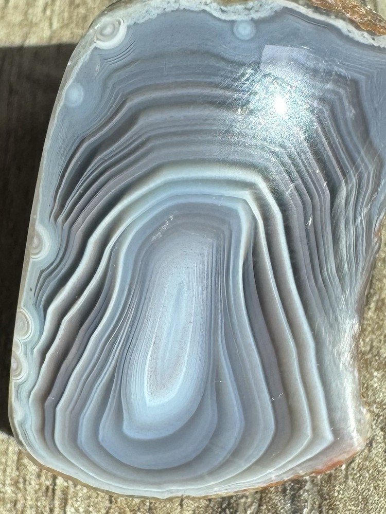 High-quality bandit agate from Botswana. Domed polish.