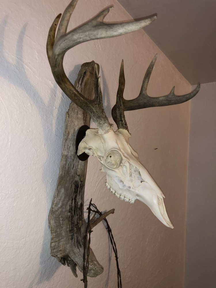 Skull Hanger
