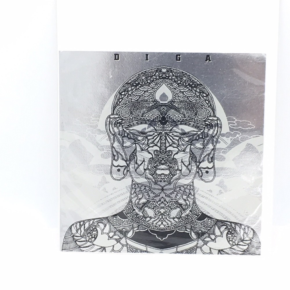 Diga Flyer With Hindi Inspired Artwork