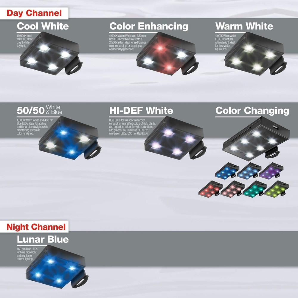 Fully Adjustable Essential LED Light for 40 Gallon Aquariums, Customizable Light
