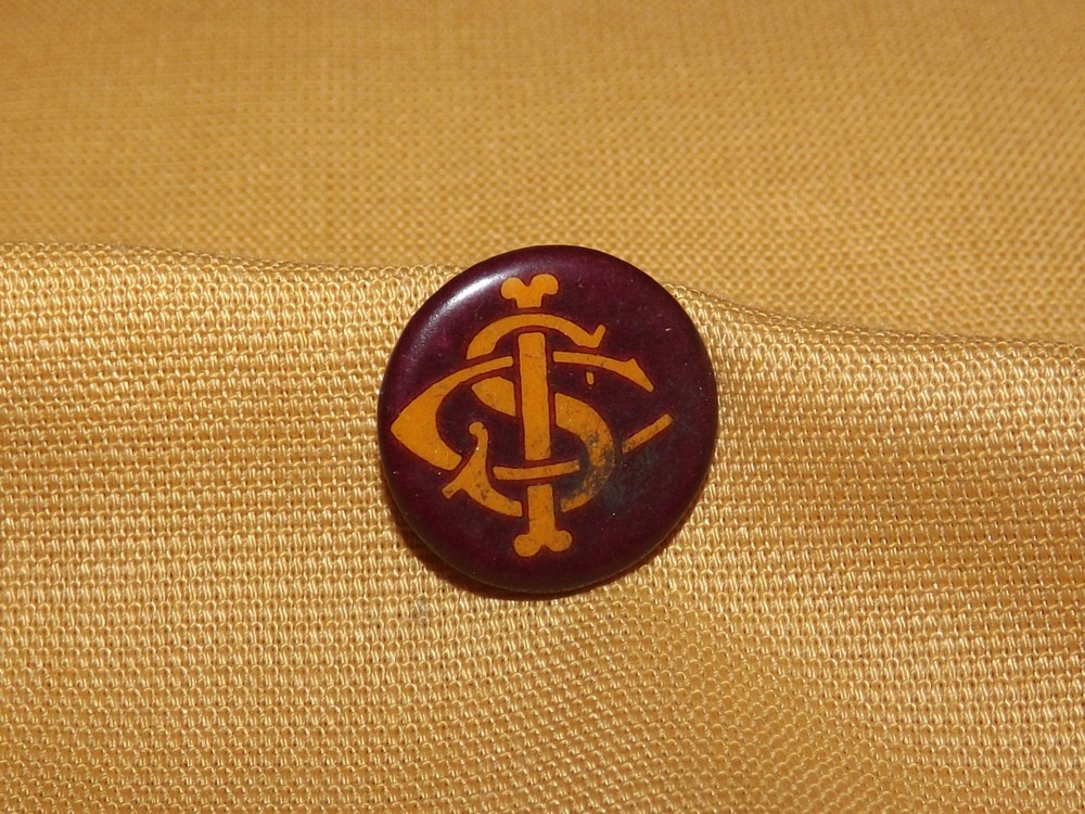 VINTAGE  WHITEHEAD & HOAG CO ICS CSI  SCI PIN BUTTON