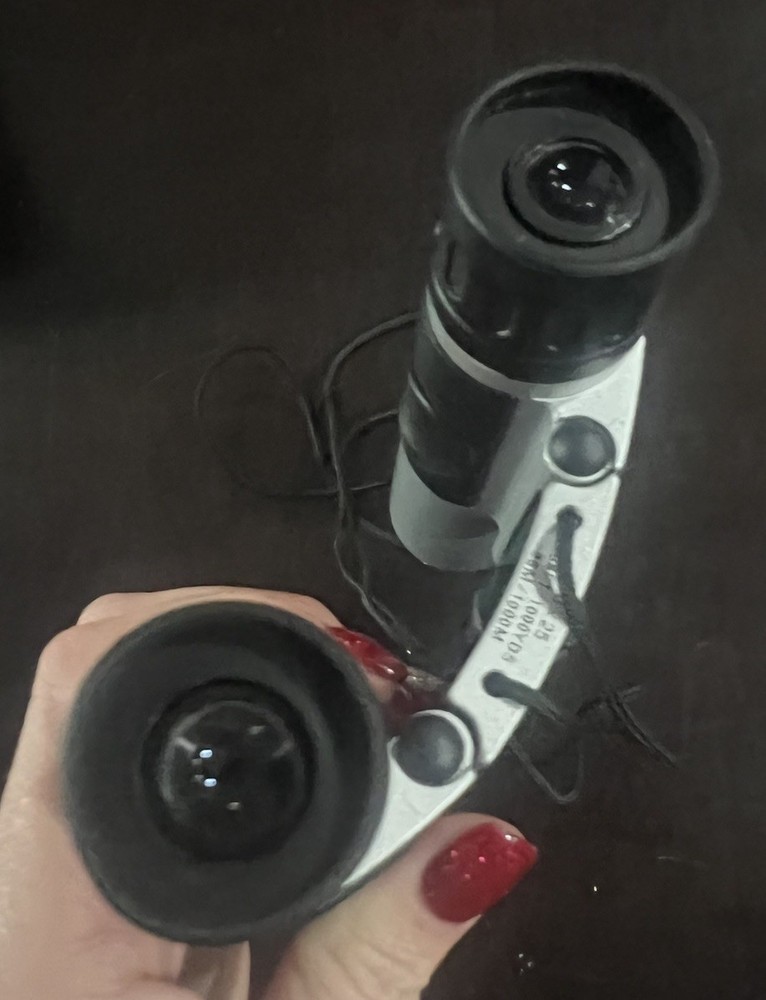 Compact Foldable Binoculars With Case & Strap 10x25 288ft Great