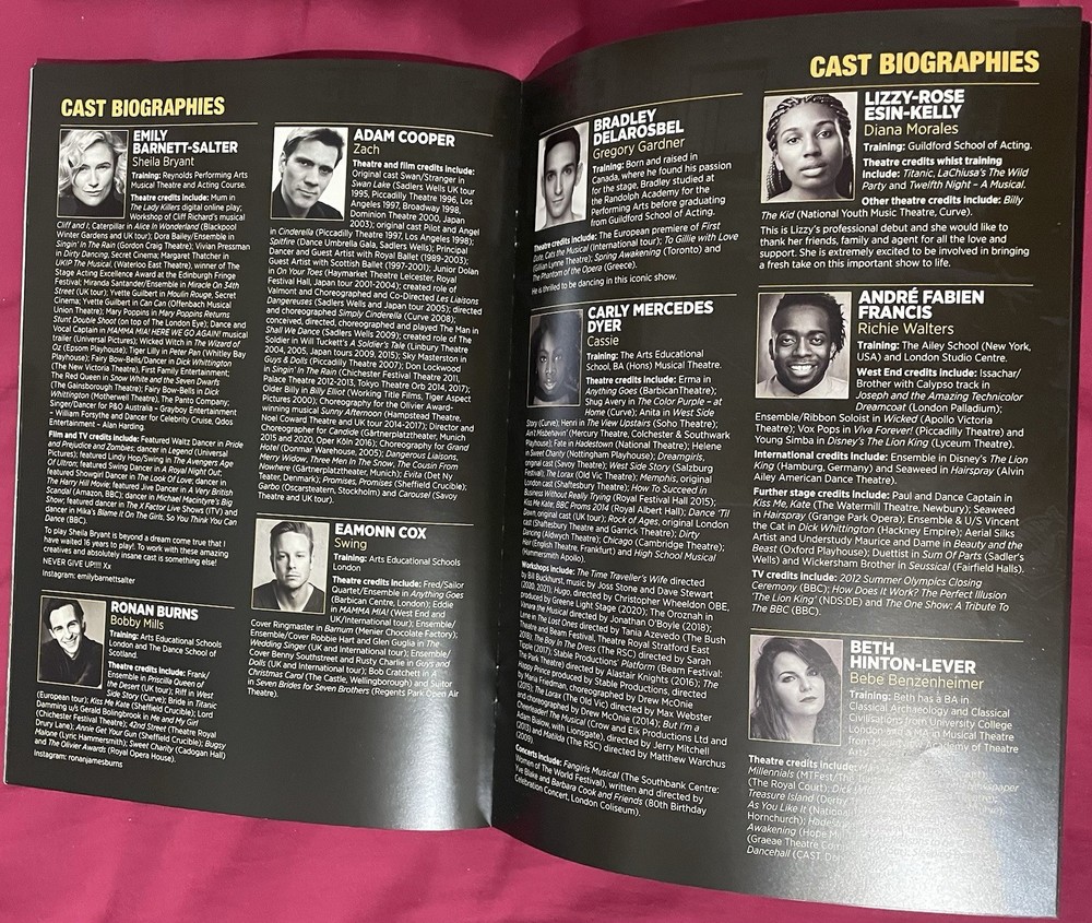 A Chorus Line Leicester Curve Theatre Programme