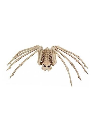 Skeleton Spider