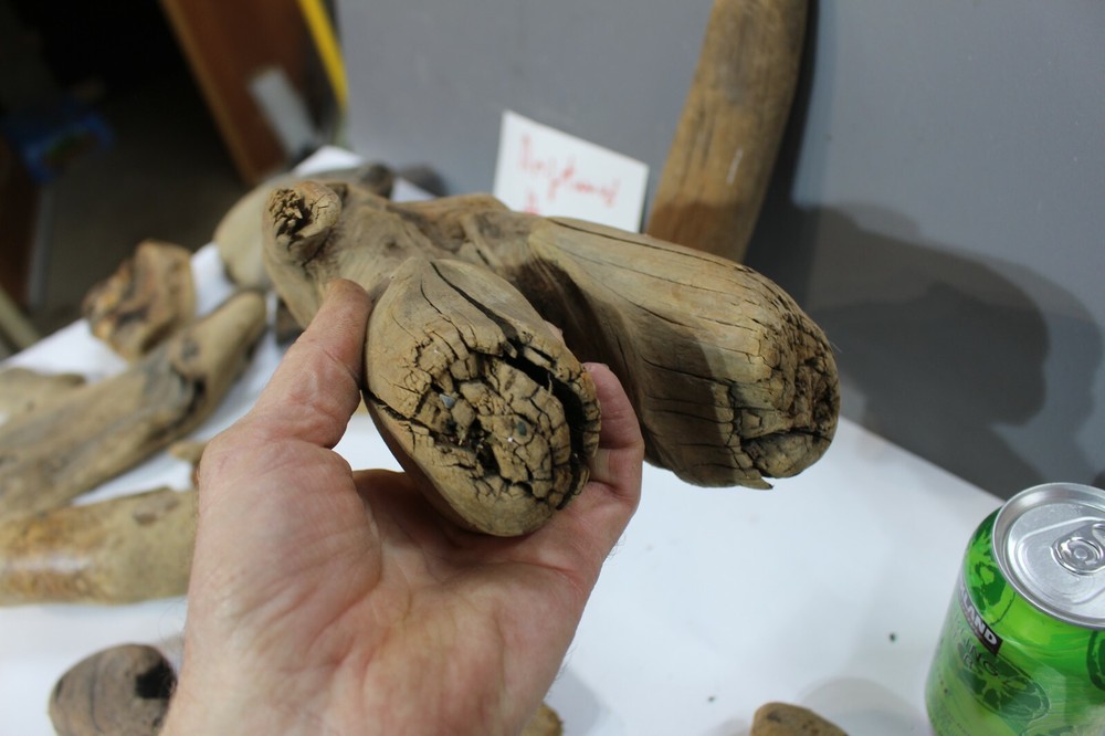 Pacific Ocean Driftwood Assortment various, crafts, hobby,