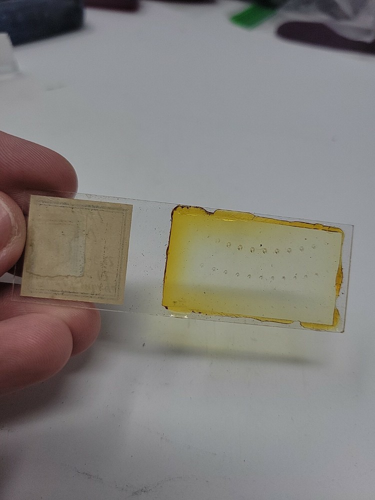 Vintage Microscope Slide 1941