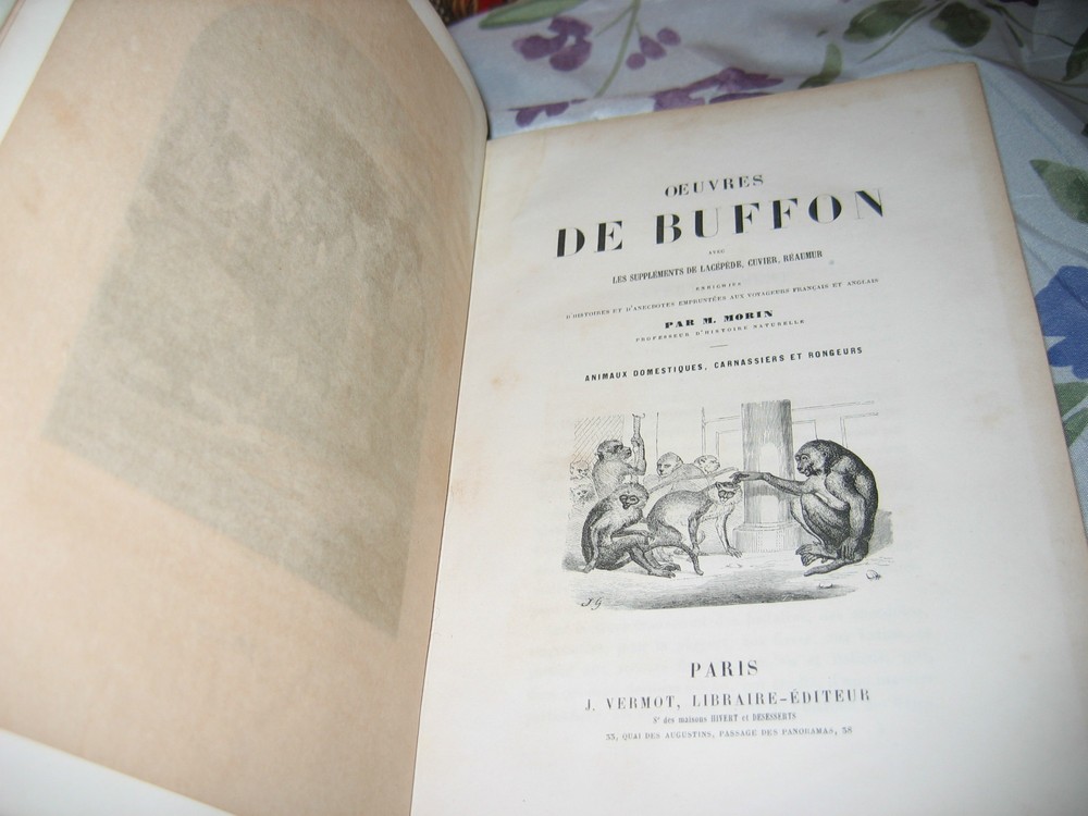 Works by Buffon, after MORIN 2 volumes Superb Engravings Leather binding