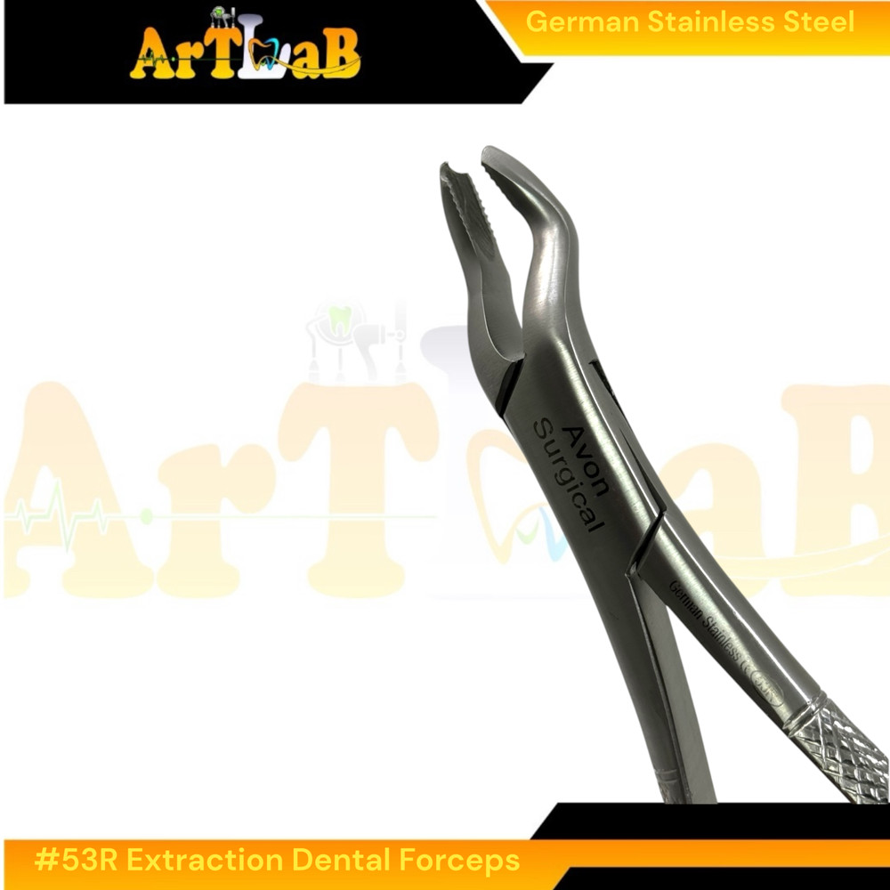 Right Upper First & Second Molar Extraction Forceps #53R, Serrated, 1pc