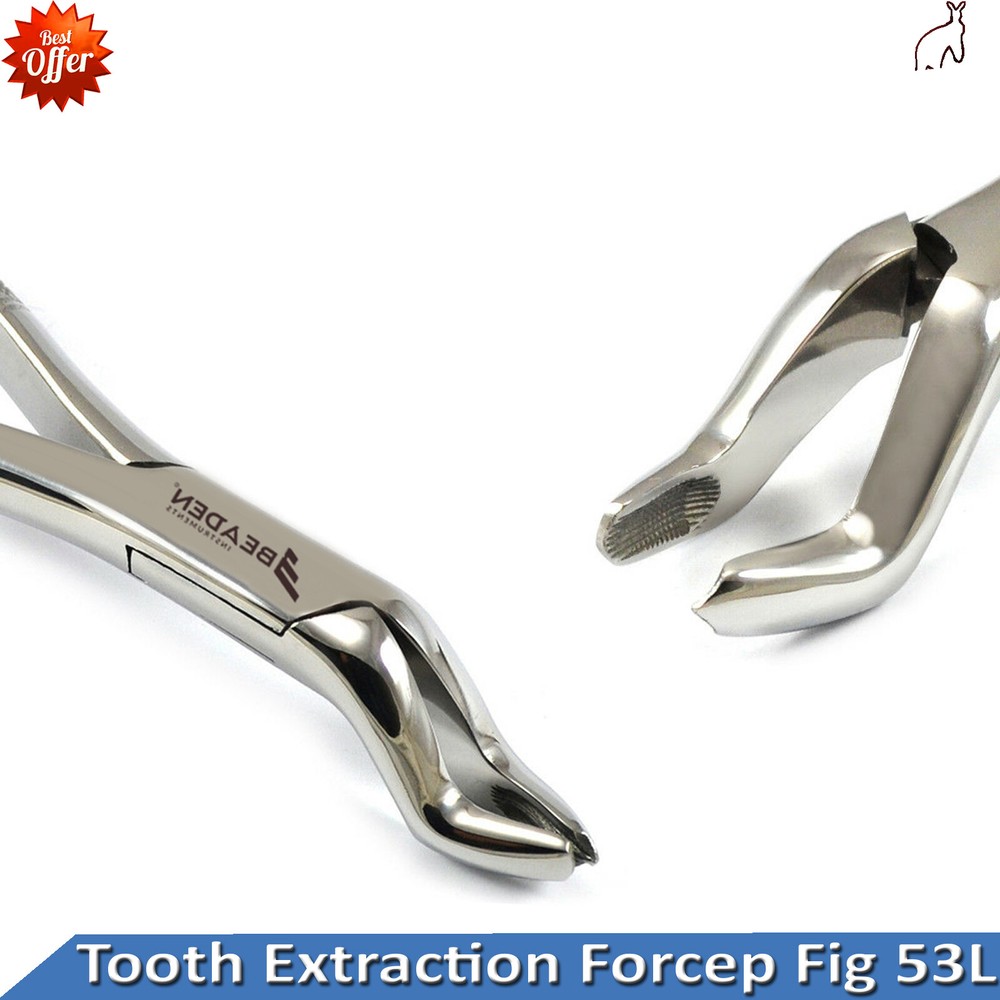 Tooth Extraction Forceps Fig 53L Upper Roots 2nd Molars Surgical Extracting X2