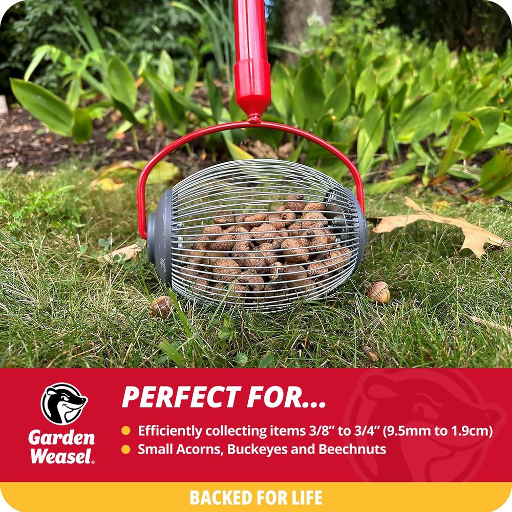 Nut Gatherer - Small Cage | Pick Up Small Acorns, Buckeyes, Beech Nuts | Nut ...
