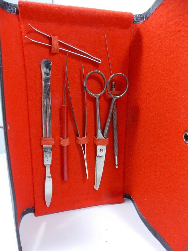 Vintage Sans & Streiffe No. 511 Lighted Microscope with Leather Case & Tools