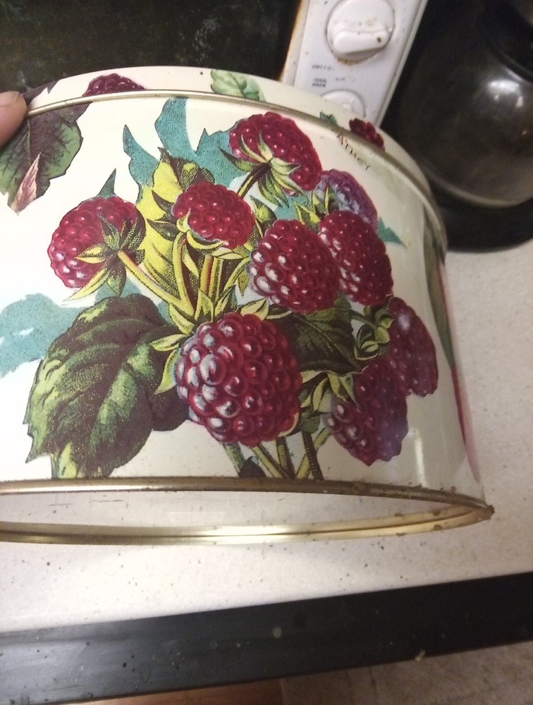 Dept 56 Berry Tin