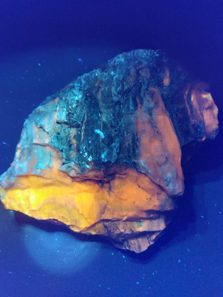 Agatized Wood (New Mexico), It Fluorescent Under UV Light
