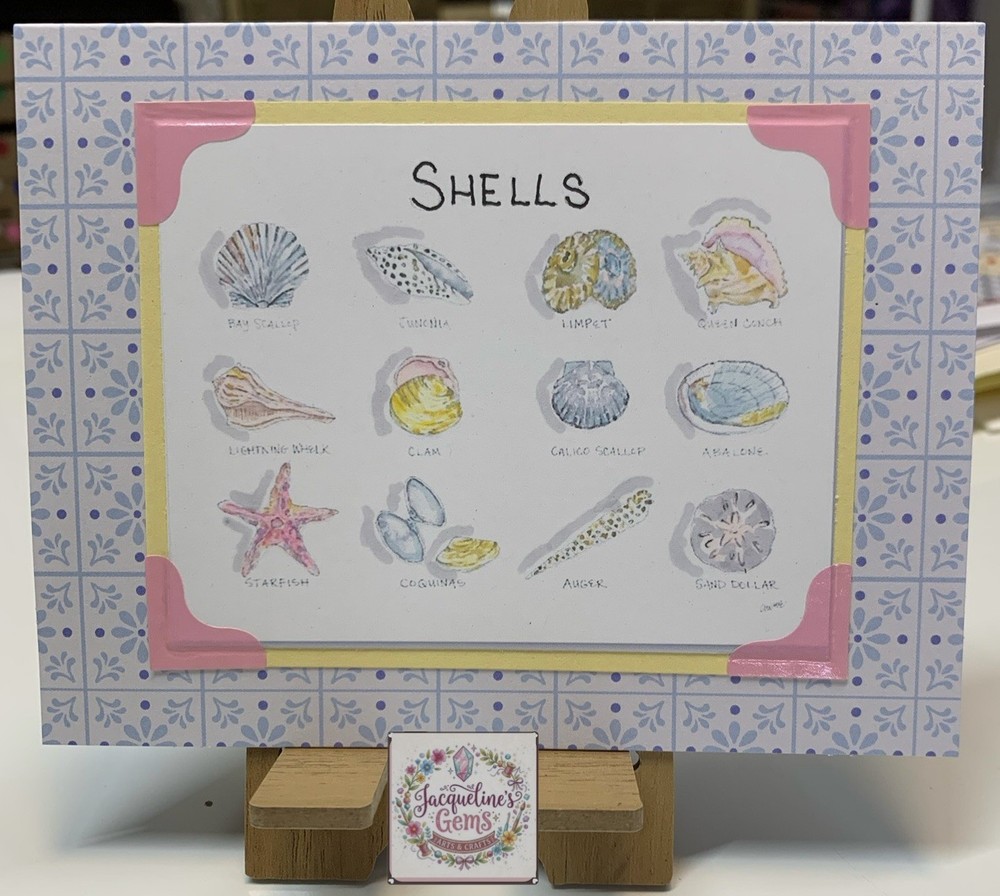 SEA SHELLS COLLECTION  Handmade Greeting Card