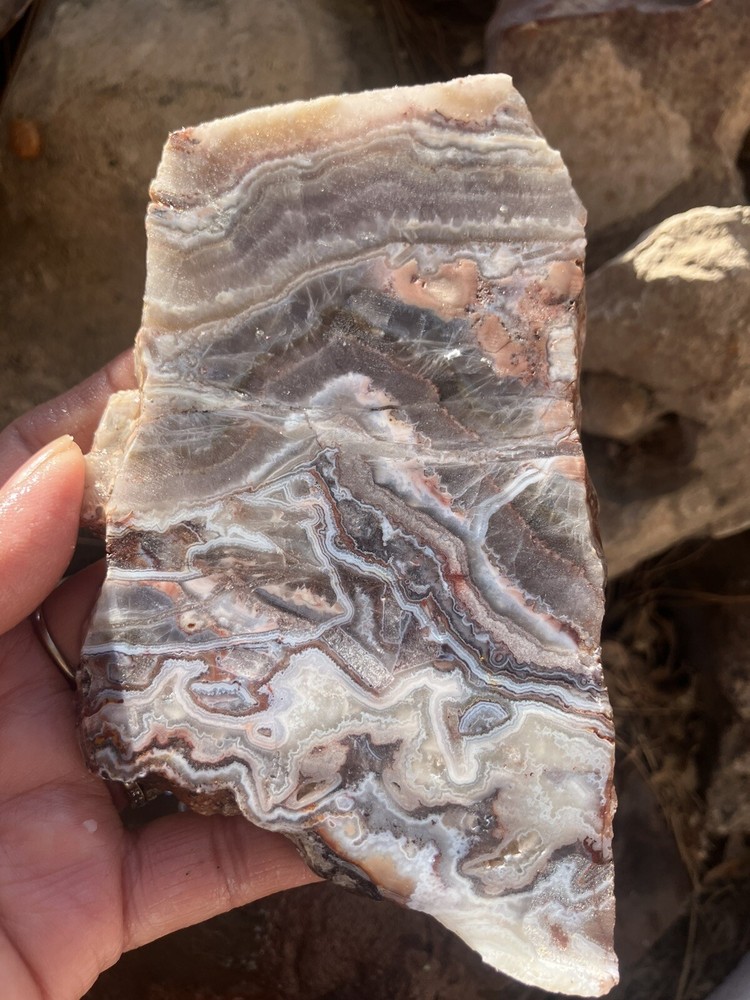 Sow Belly Slab
