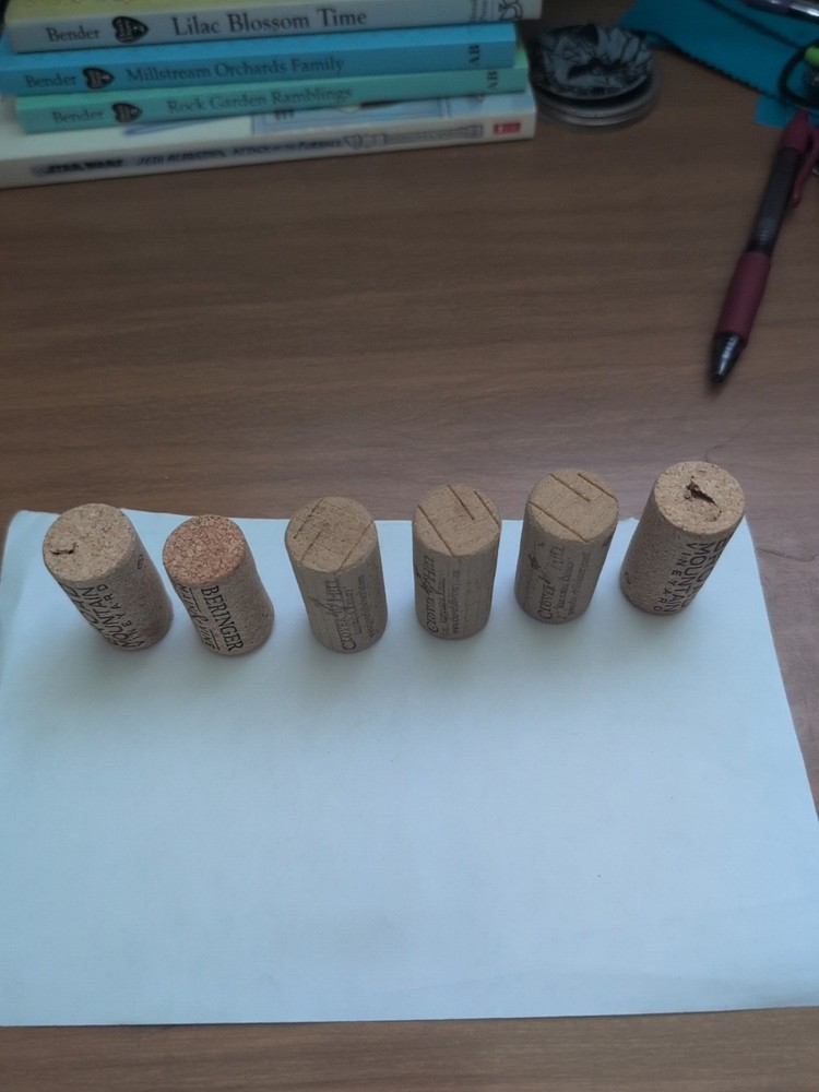 6 Corks