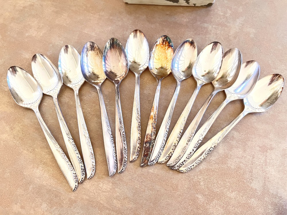 55 Pcs Oneida LTD WM.A. Rogers BRITTANY ROSE Silverplate Silverware Flatware Set